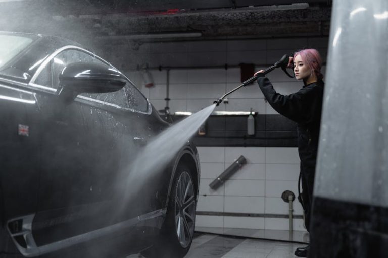 Revolutionizing Your Ride: The Art of Car Wash and Detailing Services